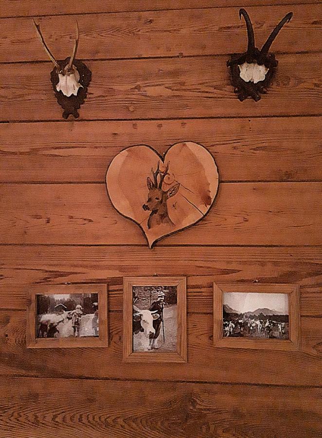 Berggasthof Kärntner Alm Hotel Mittenwald Eksteriør billede